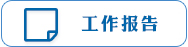 工作报告